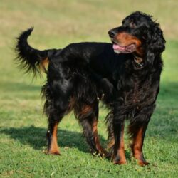 564182717_18534527827050504_4291380174080972949_n